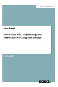 Prädiktoren des Transfererfolgs bei Personalentwicklungsmaßnahmen