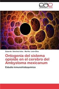 Ontogenia del Sistema Opioide En El Cerebro del Ambystoma Mexicanum