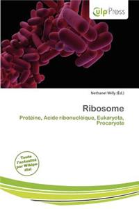 Ribosome