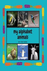 My Alphabet Animals. My First Book