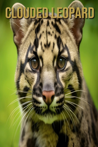 Clouded Leopard