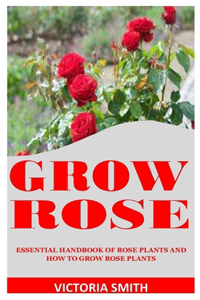 Grow Rose