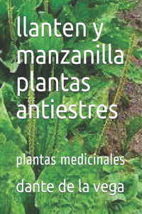 llanten y manzanilla plantas antiestres