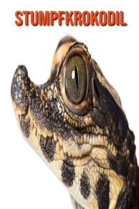 Stumpfkrokodil