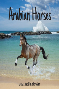Arabian Horses 2021 Wall Calendar