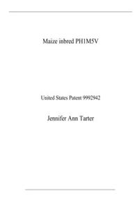 Maize inbred PH1M5V