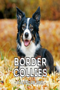 Border Collies