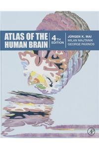 Atlas of the Human Brain