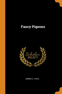 Fancy Pigeons