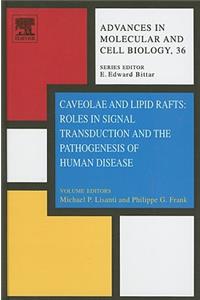 Caveolae and Lipid Rafts: Roles in Signal Transduction and the Pathogenesis of Human Disease