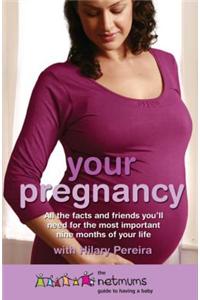 Your Pregnancy