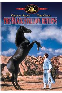 The Black Stallion Returns