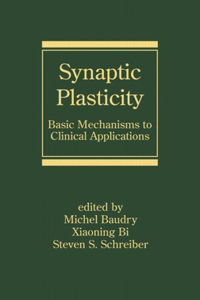 Synaptic Plasticity