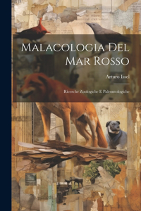 Malacologia Del Mar Rosso