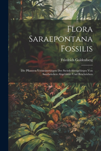 Flora Saraepontana Fossilis