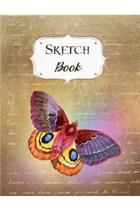 Sketch Book