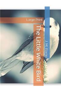 The Little White Bird