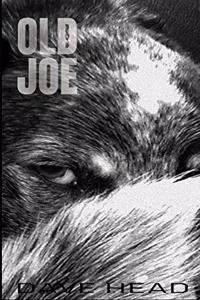 Old Joe