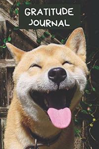 Gratitude Journal: Funny Akita Jindo Dog Diary for Recording Grateful Moments Motivational Writing Gift Notebook For Pet Owner: Cute Puppy Gratitude Book To Log Your D