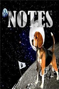 Notes