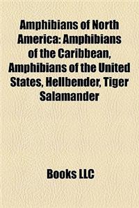 Amphibians of North America