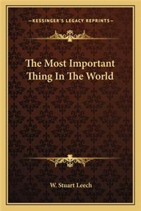 The Most Important Thing In The World