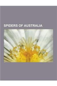 Spiders of Australia