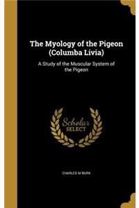 The Myology of the Pigeon (Columba Livia)