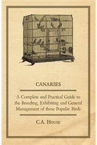 Canaries - A Complete and Practical Guide to the Breeding, Exhibiting and General Management of These Popular Birds