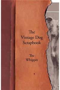Vintage Dog Scrapbook - The Whippet