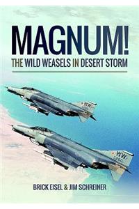 Magnum! The Wild Weasels in Desert Storm