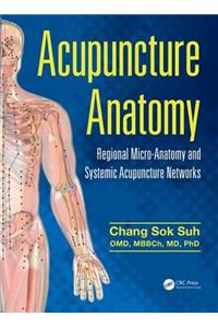 Acupuncture Anatomy