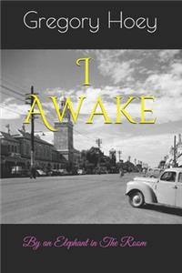 I Awake: By an Elephant in the Room