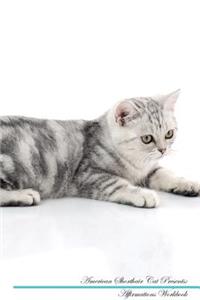 American Shorthair Cat Affirmations Workbook American Shorthair Cat Presents