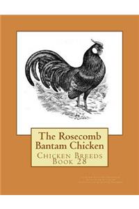 Rosecomb Bantam Chicken