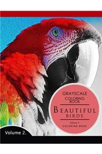 Beautiful Birds Volume 2
