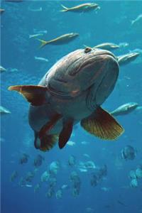 The Grouper Fish Portrait Journal