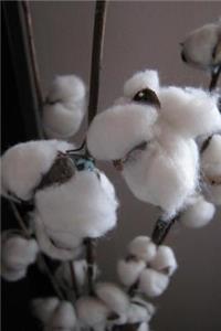 Fluffy White Cotton Plants in a Vase Journal