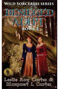 Wild Sorceress Series, Book 2