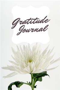 Personalized Gratitude, Happiness & Self Love Journal