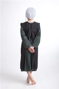 Guilt of the Amish