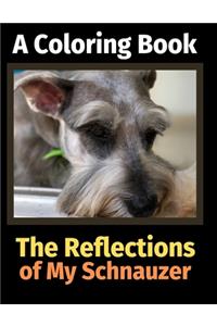 Reflections of My Schnauzer