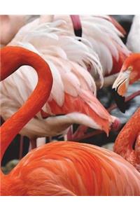 Flamingo Notebook Large Size 8.5 x 11 Ruled 150 pages Softcover