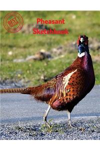 Pheasant Sketchbook
