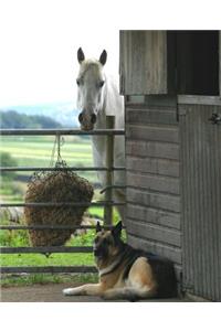 School Composition Book Equine Horse Dog 130 Pages