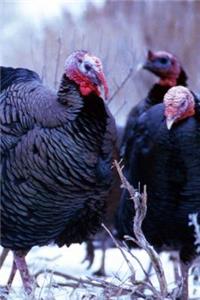 2019 Weekly Planner Winter Theme Wild Turkeys 134 Pages