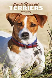 JACK RUSSELL TERRIERS SLIM D 2019