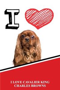 I Love Cavalier King Charles Browns