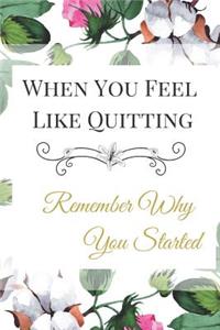 When You Feel Like Quitting Remember Why You Started