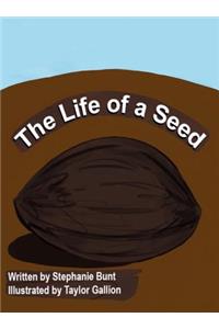 Life of a Seed